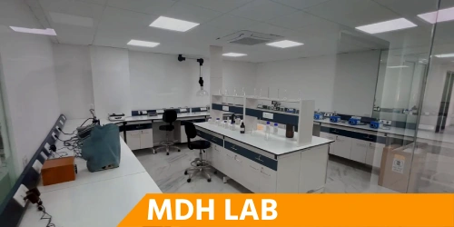 MDH Lab project